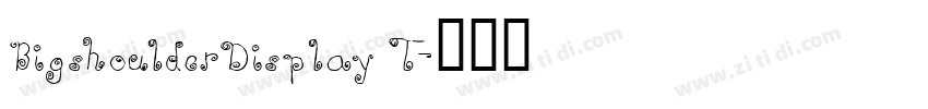 BigshoulderDisplay T字体转换